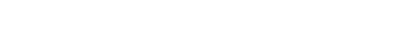 WALL SCREEN